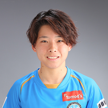 樫本芹菜