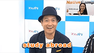 スギ。